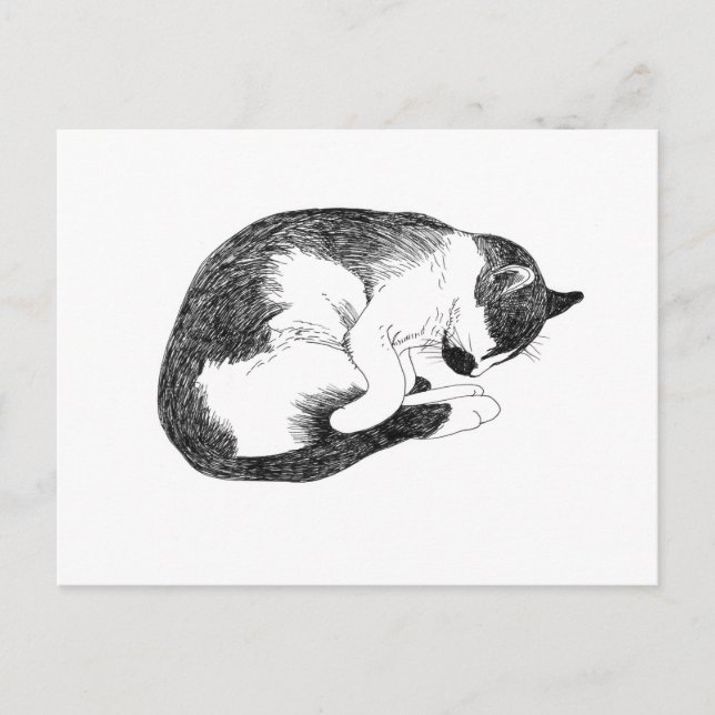 Sleeping Cat – Gentle Reminder to Rest Vykort (Framsida)