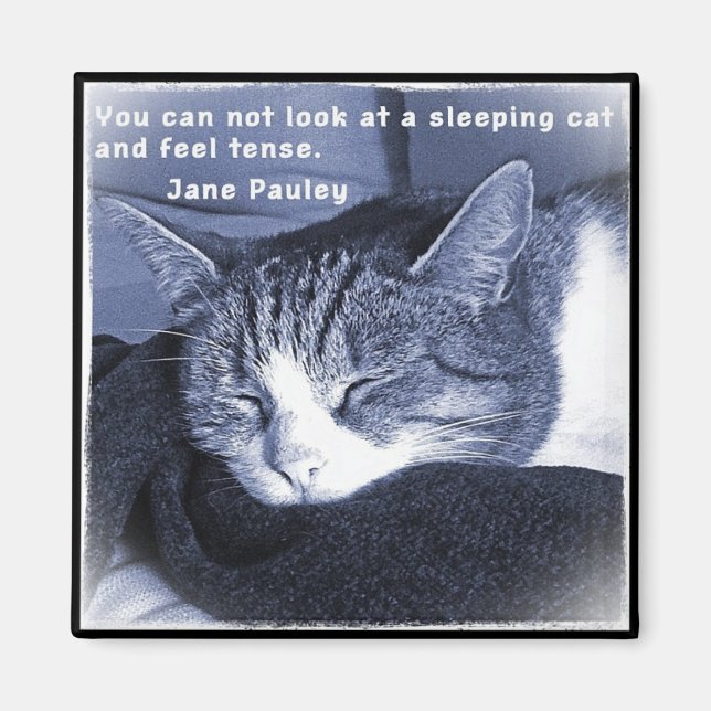 Sleeping cat magnet (Framsidan)