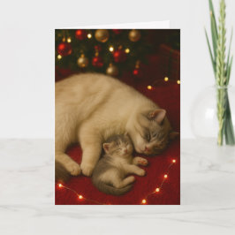 Sleeping Cats Christmas Folded Greeting Kort