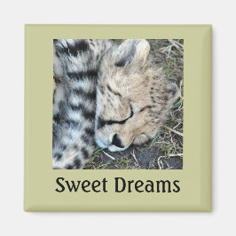 Sleeping Cheetah Unge Photo Magnet