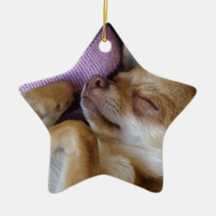 Sleeping Chihuahua Julgransprydnad Keramik