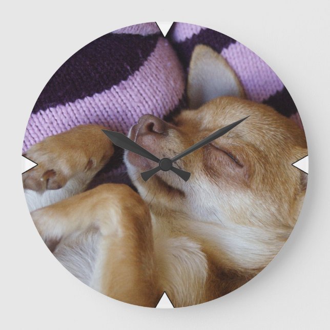 Sleeping Chihuahua Stor Klocka (Framsida)