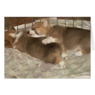 Sleeping Corgis Hälsningskort