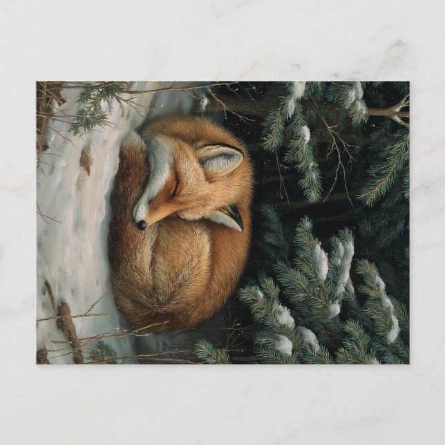 Sleeping Fox in Winter Forest Vykort (Framsida)
