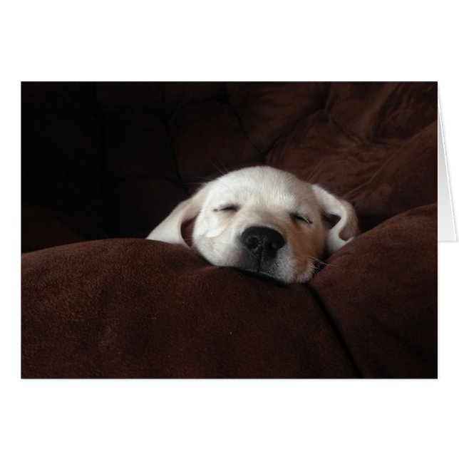 Sleeping Gracie Hälsningskort (Framsidan Horizontal)