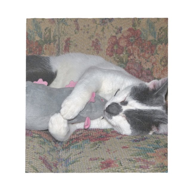 Sleeping Kitten Anteckningsblock (Framsida)