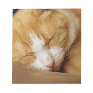 Sleeping Kitten Anteckningsblock