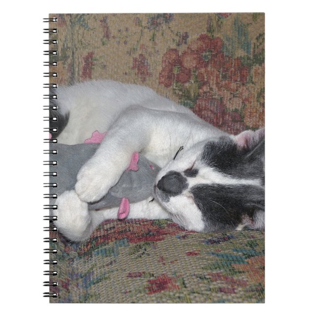 Sleeping Kitten Anteckningsbok (Framsidan)