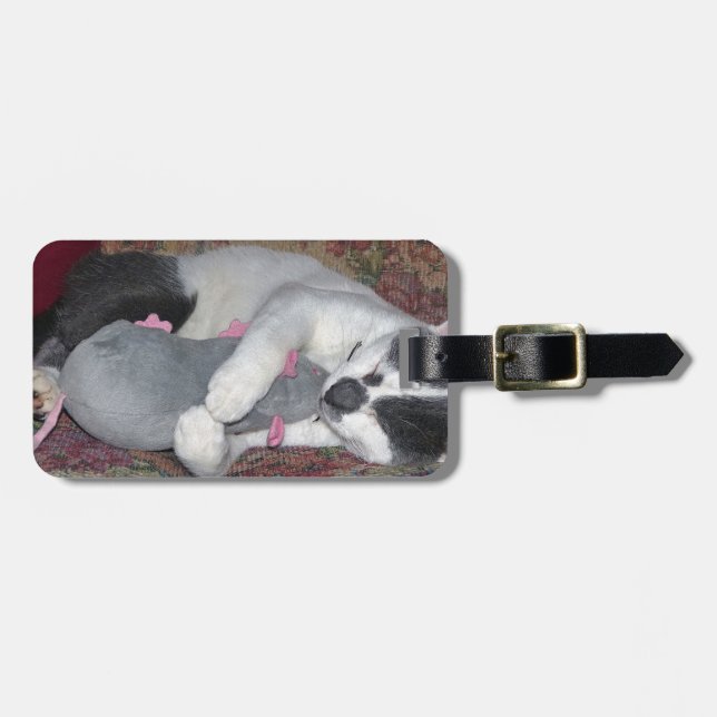 Sleeping Kitten Bagagebricka (Horisontell Framsida)
