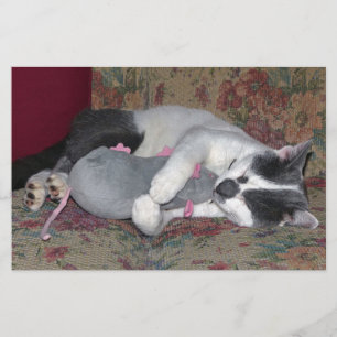 Sleeping Kitten Brevpapper