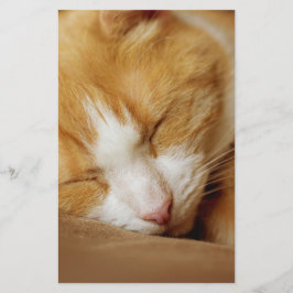 Sleeping Kitten Brevpapper