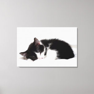 Sleeping Kitten Canvastryck