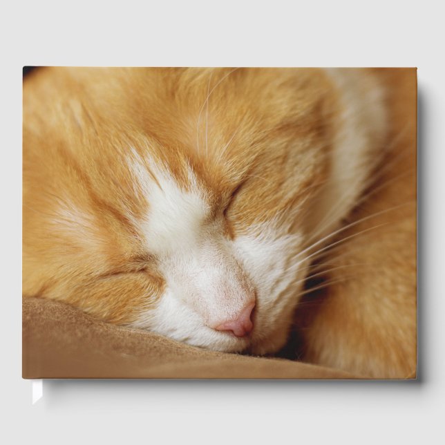 Sleeping Kitten Gästböcker (Framsida)