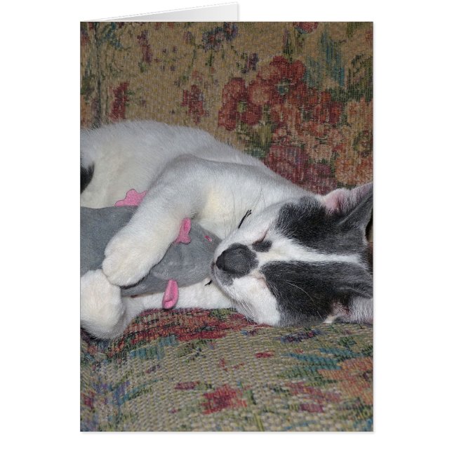 Sleeping Kitten Hälsningskort (Framsidan)