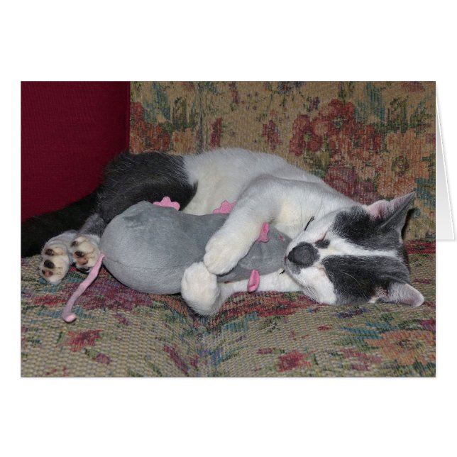 Sleeping Kitten Hälsningskort (Framsidan Horizontal)