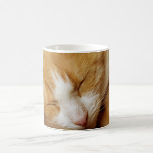 Sleeping Kitten Kaffemugg