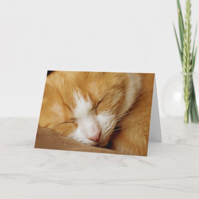 Sleeping Kitten Kort (Framsida)