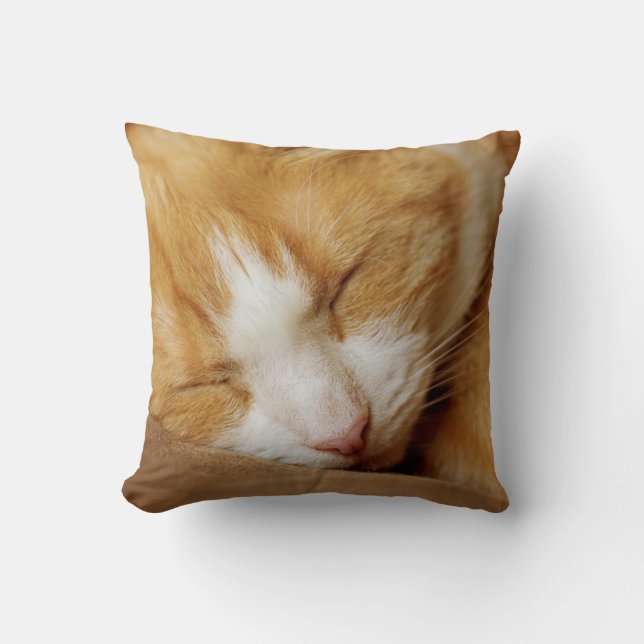 Sleeping Kitten Kudde (Framsida)