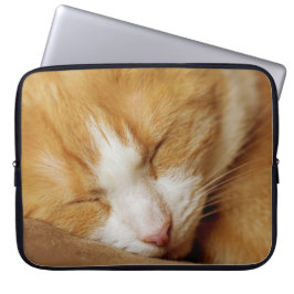 Sleeping Kitten Laptop Fodral