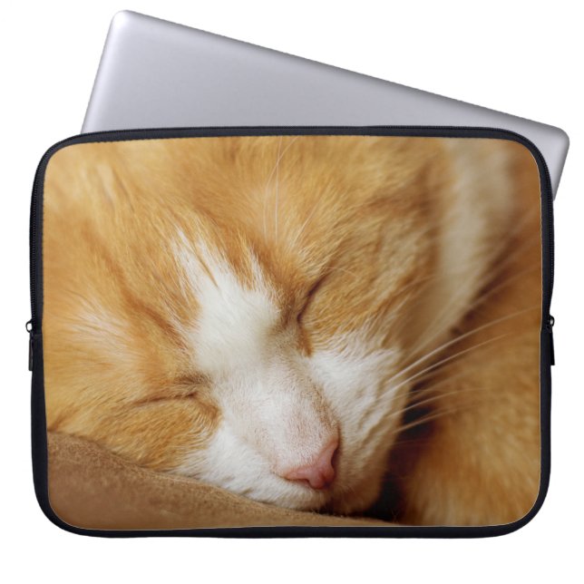 Sleeping Kitten Laptop Fodral (Framsidan)
