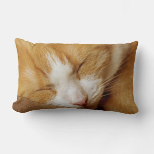 Sleeping Kitten Lumbarkudde