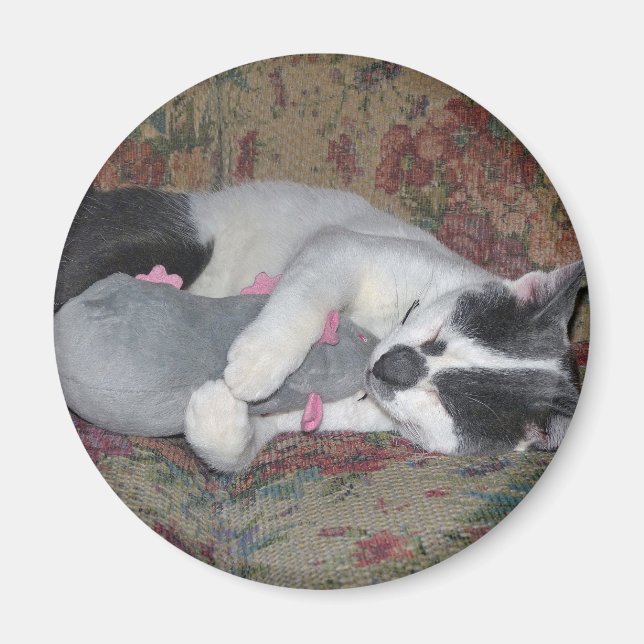 Sleeping Kitten Magnet (Framsidan)