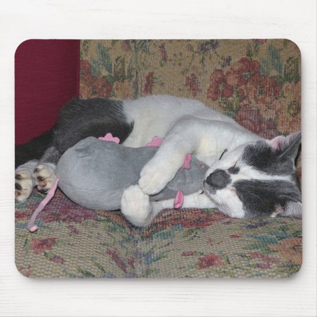 Sleeping Kitten Musmatta (Framsidan)