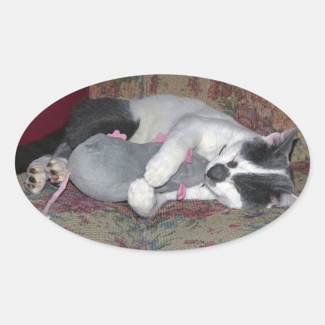 Sleeping Kitten Ovalt Klistermärke (Framsida)