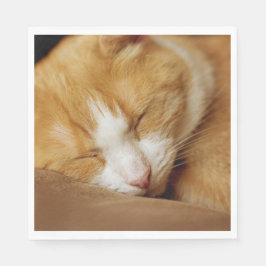 Sleeping Kitten Pappersservett
