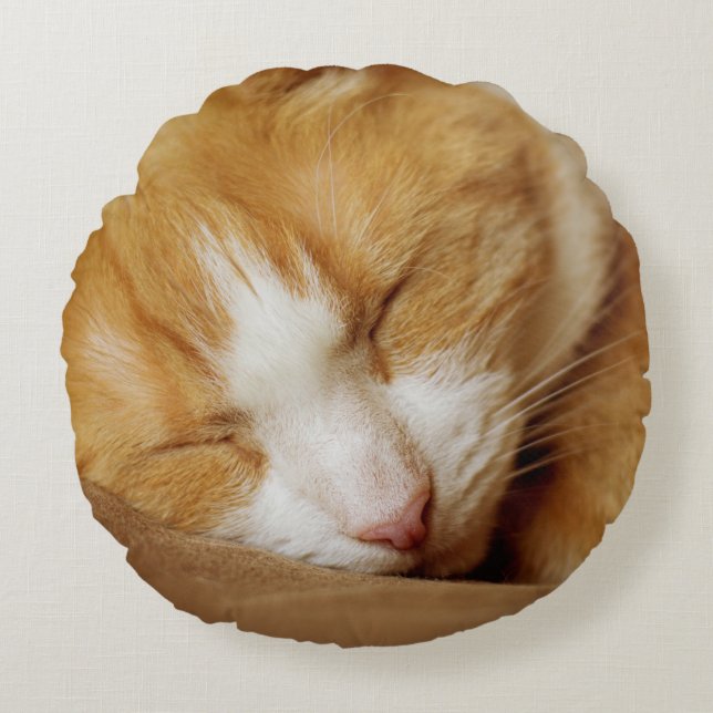 Sleeping Kitten Rund Kudde (Framsidan)