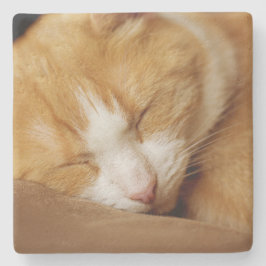 Sleeping Kitten Stenunderlägg