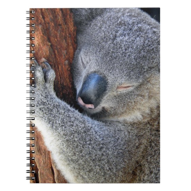 Sleeping Koala Anteckningsbok (Framsidan)
