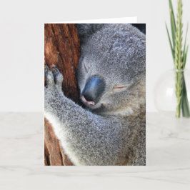 Sleeping Koala Helgkort