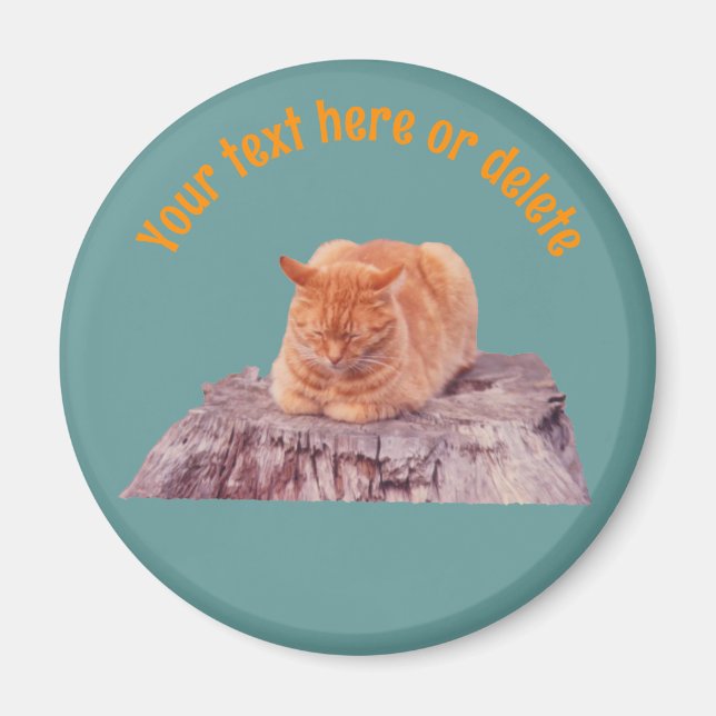 Sleeping Orange Tabby Cat Personalized Magnet (Framsidan)
