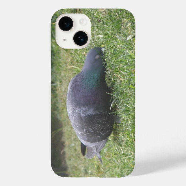 Sleeping Pigeon (Baksida)