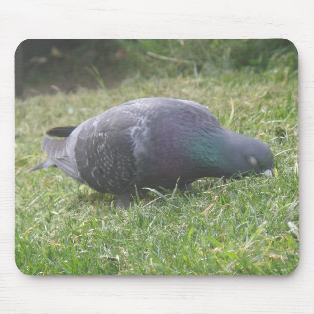 Sleeping Pigeon Mousepad Musmatta (Framsidan)