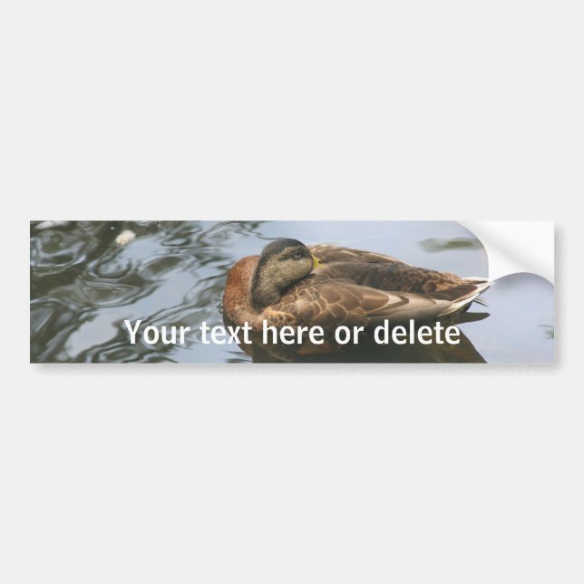 Sleepy Duck Nature Personalized Bildekal (Framsidan)