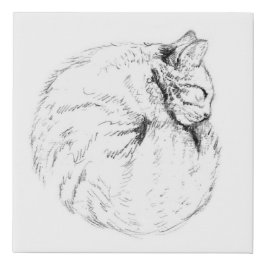Sleepy Kitty Bun