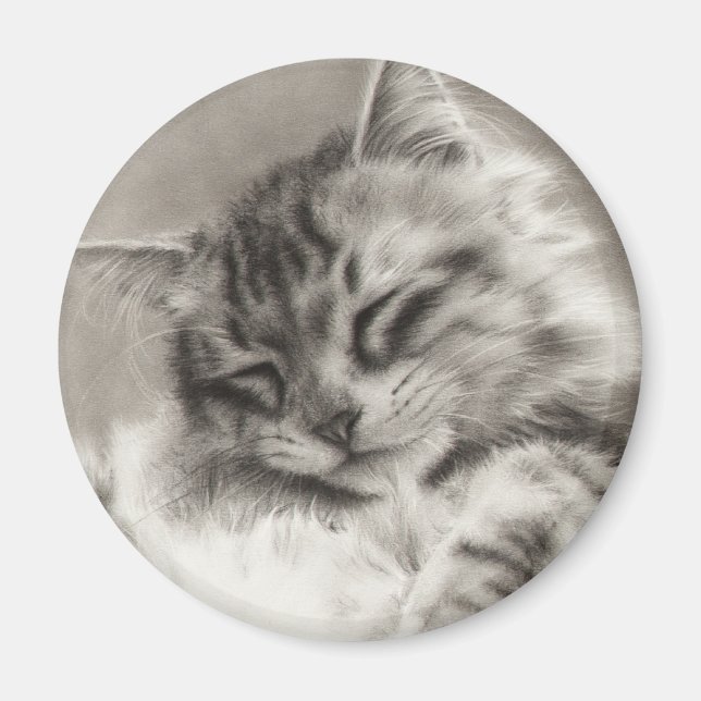 Sleepyhead Maine Coon Magnet (Framsidan)