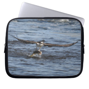 Sleeve för flygande Osprey Raptor Wildlife