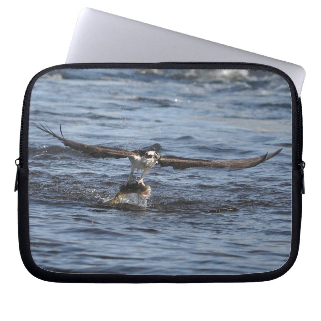 Sleeve för flygande Osprey Raptor Wildlife (Framsidan)