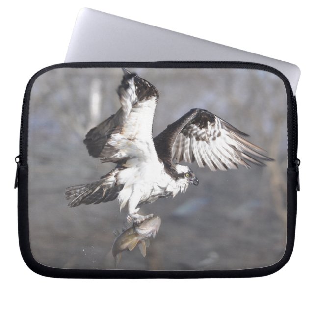 Sleeve för flygande Osprey Raptor Wildlife (Framsidan)