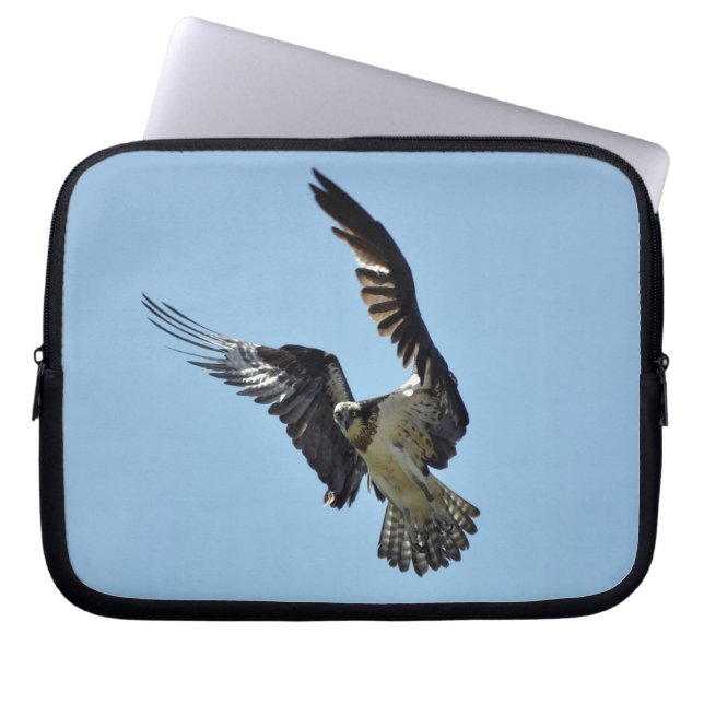 Sleeve för flygande Osprey Raptor Wildlife (Framsidan)