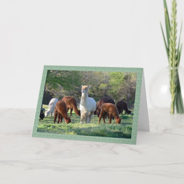 Sleigh Belle-julkort Helgkort (Framsida)