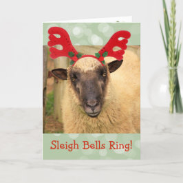 Sleigh Klockor Sheep Helgkort