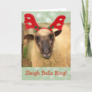 Sleigh Klockor Sheep Helgkort