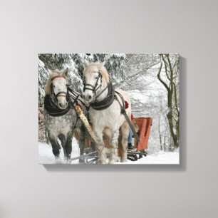 sleigh+rid,snö,skog,häst,vinter,vit,gallop, canvastryck