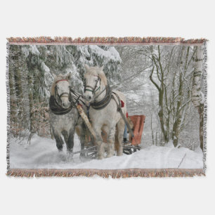 sleigh+rid,snö,skog,häst,vinter,vit,gallop, filt