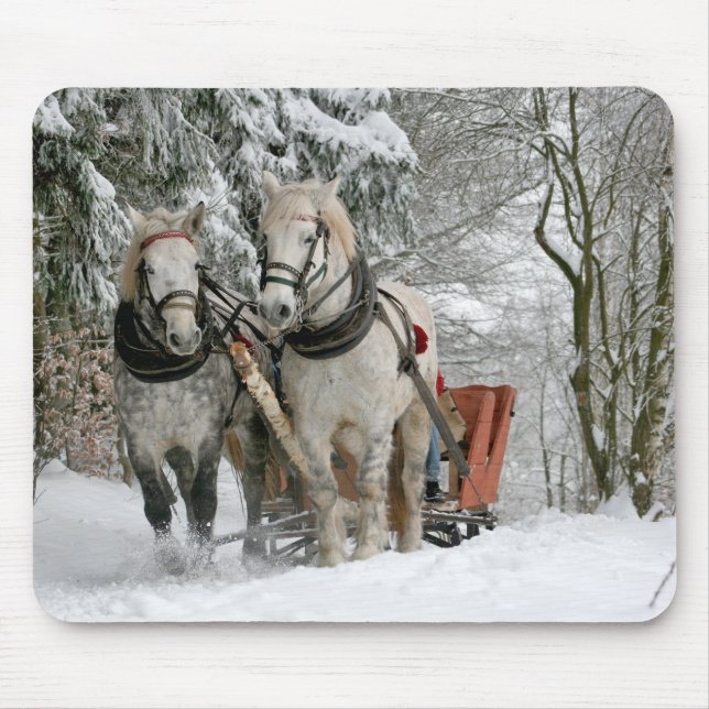 Sleigh Ride i Snowy Forest Musmatta (Framsidan)