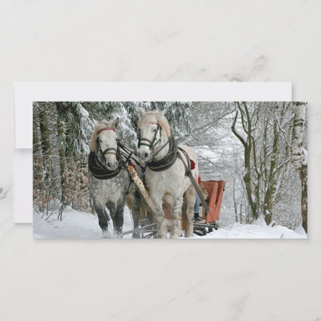 Sleigh Ride i Winter Wonderland (Framsida)